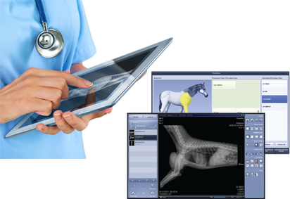 veterinary digital radiography cdr dicom